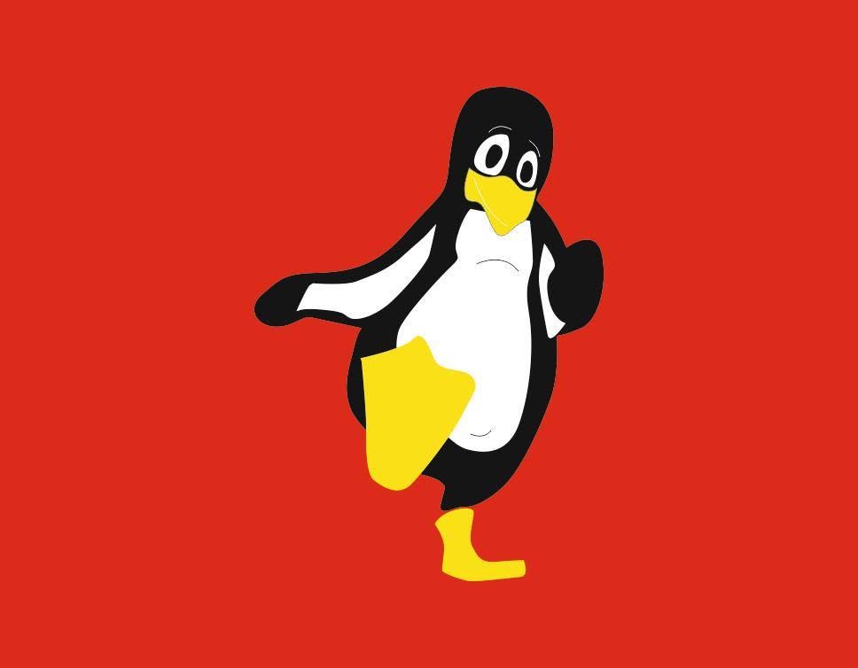 Penguen Home